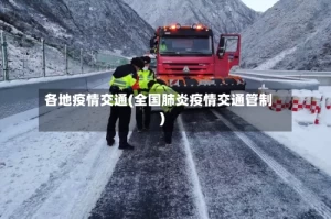 各地疫情交通(全国肺炎疫情交通管制)
