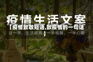 【疫情致敬短语,致疫情的一句话】