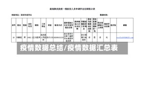 疫情数据总结/疫情数据汇总表