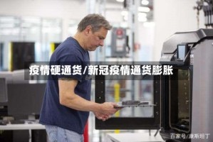 疫情硬通货/新冠疫情通货膨胀