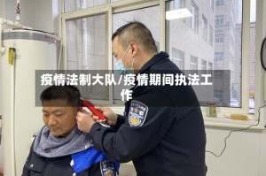 疫情法制大队/疫情期间执法工作