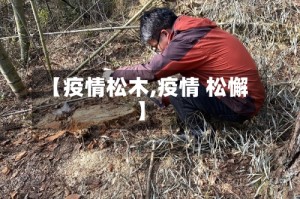 【疫情松木,疫情 松懈】