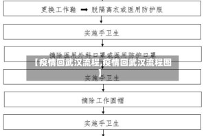 【疫情回武汉流程,疫情回武汉流程图】