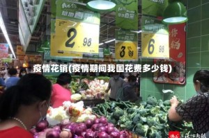疫情花销(疫情期间我国花费多少钱)