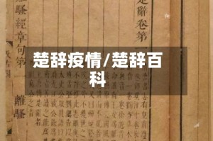 楚辞疫情/楚辞百科