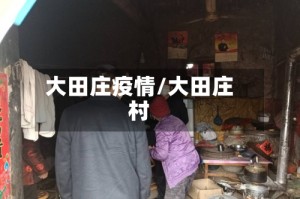 大田庄疫情/大田庄村
