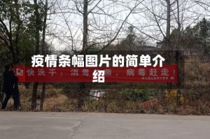 疫情条幅图片的简单介绍