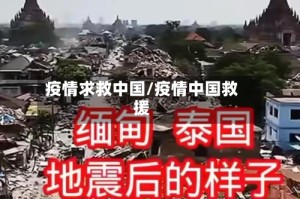 疫情求救中国/疫情中国救援