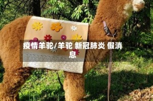 疫情羊驼/羊驼 新冠肺炎 假消息