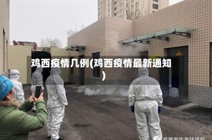 鸡西疫情几例(鸡西疫情最新通知)