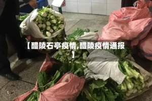 【醴陵石亭疫情,醴陵疫情通报】