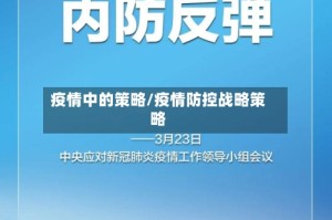 疫情中的策略/疫情防控战略策略