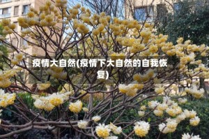 疫情大自然(疫情下大自然的自我恢复)