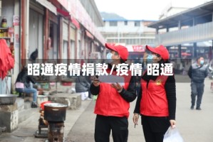 昭通疫情捐款/疫情 昭通