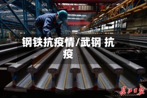 钢铁抗疫情/武钢 抗疫