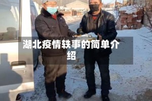 湖北疫情轶事的简单介绍