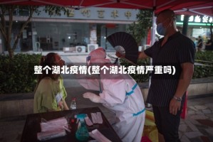 整个湖北疫情(整个湖北疫情严重吗)