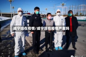 咸宁现在疫情/咸宁现在疫情严重吗