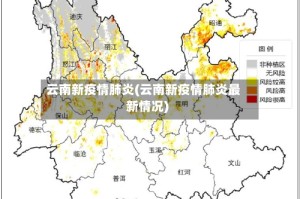 云南新疫情肺炎(云南新疫情肺炎最新情况)