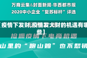 【疫情下发财,疫情发大财的机遇有哪些】