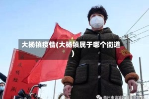 大杨镇疫情(大杨镇属于哪个街道)