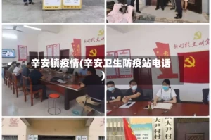 辛安镇疫情(辛安卫生防疫站电话)