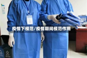 疫情下模范/疫情期间模范作用