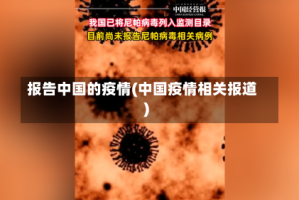 报告中国的疫情(中国疫情相关报道)