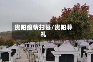 贵阳疫情扫墓/贵阳葬礼