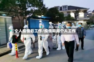 个人疫情后工作/疫情期间个人工作