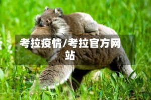 考拉疫情/考拉官方网站