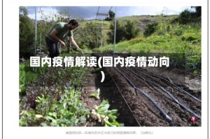 国内疫情解读(国内疫情动向)