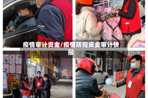疫情审计资金/疫情防控资金审计快报