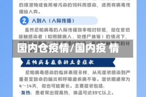国内仓疫情/国内疫 情
