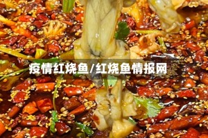 疫情红烧鱼/红烧鱼情报网