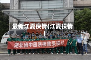 最新江夏疫情(江夏役情)
