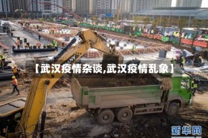 【武汉疫情杂谈,武汉疫情乱象】