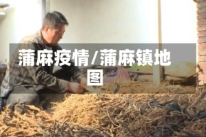 蒲麻疫情/蒲麻镇地图