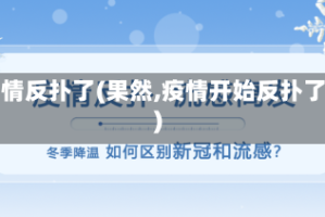 疫情反扑了(果然,疫情开始反扑了)