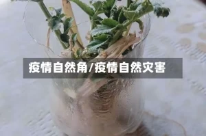 疫情自然角/疫情自然灾害