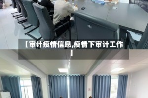 【审计疫情信息,疫情下审计工作】