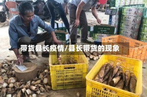 带货县长疫情/县长带货的现象