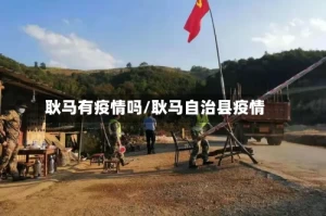 耿马有疫情吗/耿马自治县疫情