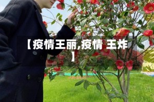 【疫情王丽,疫情 王炸】