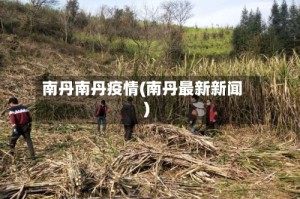 南丹南丹疫情(南丹最新新闻)