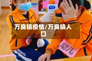 万良镇疫情/万良镇人口