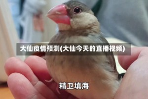 大仙疫情预测(大仙今天的直播视频)