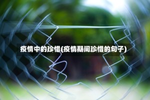 疫情中的珍惜(疫情期间珍惜的句子)