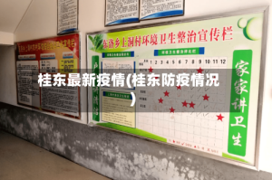 桂东最新疫情(桂东防疫情况)