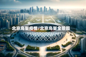 北京鸟巢疫情/北京鸟巢全景图
